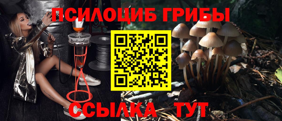 Галлюциногенные грибы Psilocybine cubensis Павлово