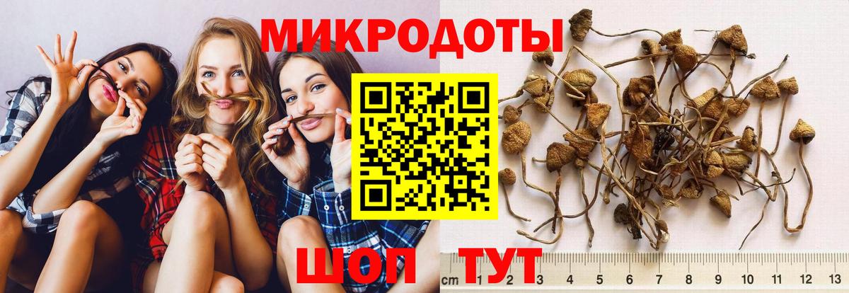 Павлово  сколько стоит  Вход с VPN  Псилоцибиновые грибы Psilocybine cubensis  Псилоцибиновые грибы MAGIC MUSHROOMS 